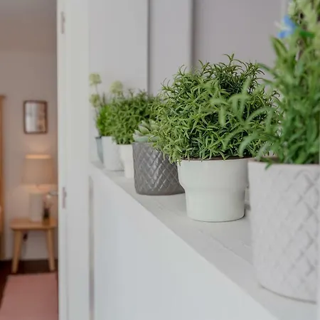شقة Sunny With Patio, By Timecooler Lisboa