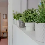 公寓 Sunny With Patio, By Timecooler Lisboa